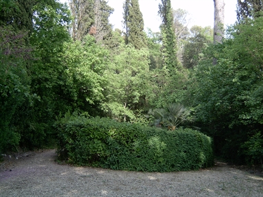 Giardino di Villa Colle Olivo