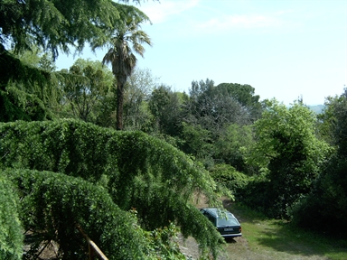 Giardino di Villa Fontedamo