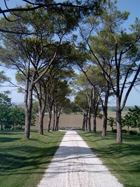 Giardino di Villa Piandelmedico