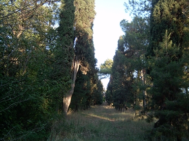 Giardino di Villa Montegallo