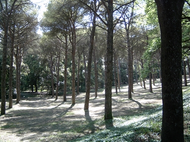 Parco di Villa Simonetti