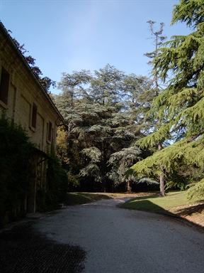 Parco di Villa Simonetti