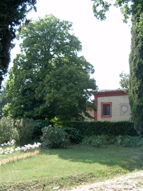 Giardino di Villa Marazzana