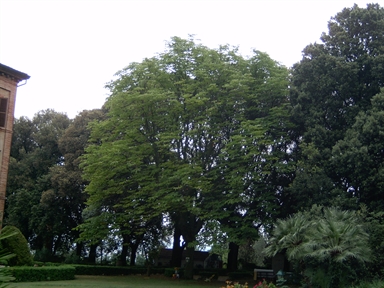 Parco di Villa La Capparuccia