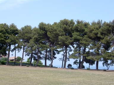 Parco di Villa Conti
