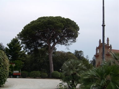 Parco di Villa Conti
