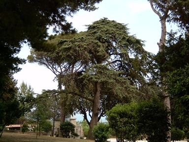 Parco di Villa Conti