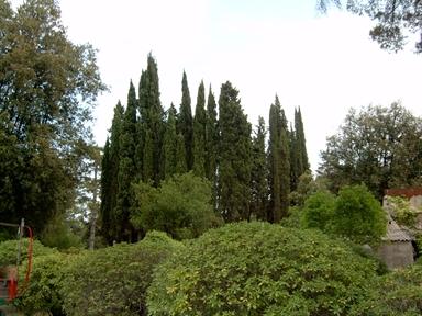 Parco di Villa Conti