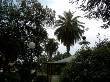 Parco di Villa Conti