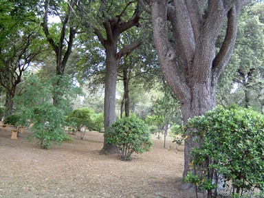 Parco di Villa Conti