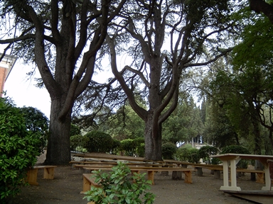Parco di Villa Conti