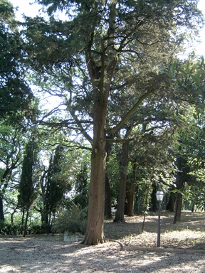 Parco di Villa Bartolazzi
