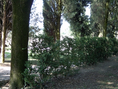 Parco di Villa Bartolazzi