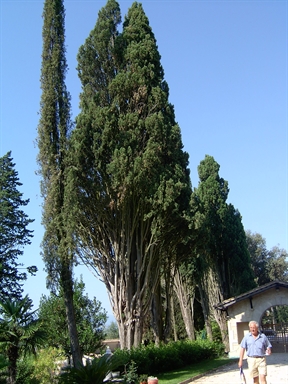 Parco di Villa Bartolazzi