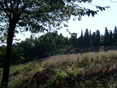 Parco di Villa Bartolazzi