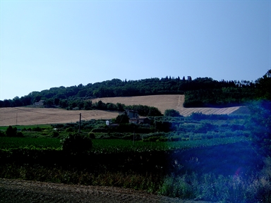 Parco di Villa Bartolazzi