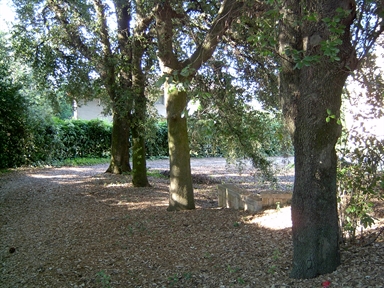 Parco di Villa Bartolazzi