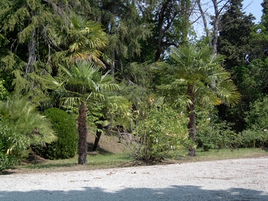 Parco di Villa Anitori