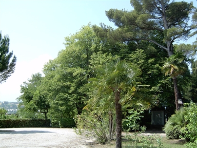 Parco di Villa Anitori