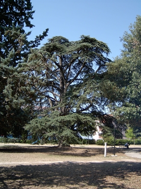 Parco di Villa Cozza
