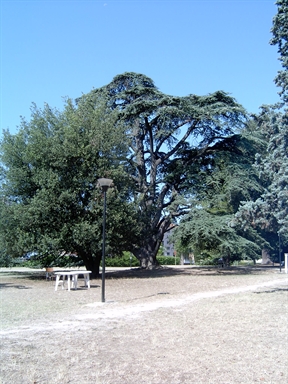 Parco di Villa Cozza