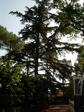Parco di Villa Collio Pagani