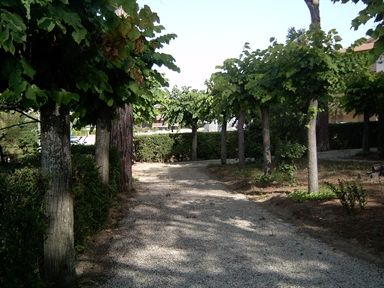 Parco di Villa Collio Pagani