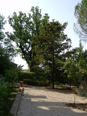 Parco di Villa Collio Pagani
