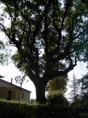 Parco di Villa Collio Pagani