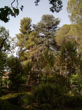 Parco di Villa Collio Pagani