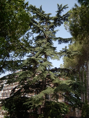 Parco di Villa Collio Pagani