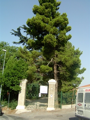 Parco di Villa Collio Pagani