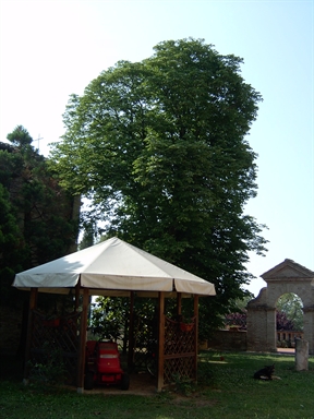 Parco di Villa S. Antonio