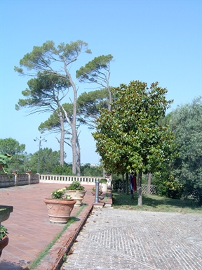 Parco di Villa S. Antonio