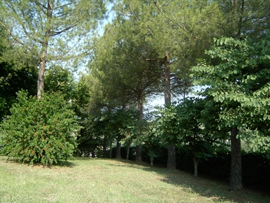 Parco di Villa S. Antonio