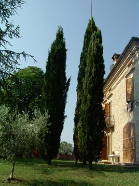 Parco di Villa S. Antonio