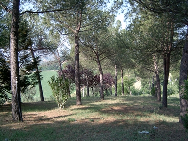 Parco di Villa S. Antonio