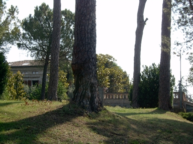 Parco di Villa S. Antonio
