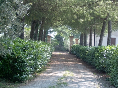 Parco di Villa S. Antonio