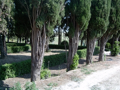 Giardino di Villa Curzi