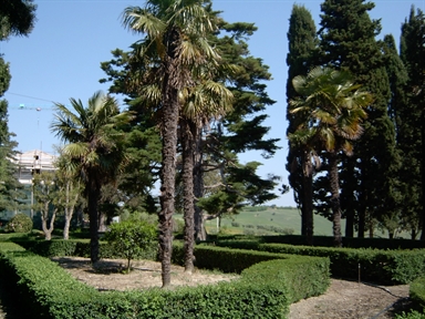 Giardino di Villa Curzi