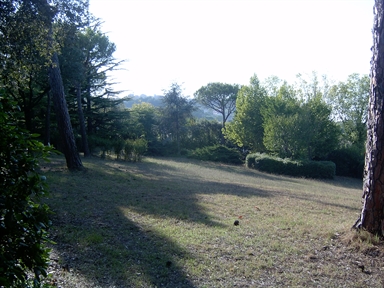 Parco di Villa Garulli