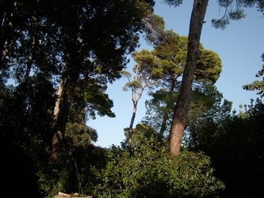 Parco di Villa Garulli