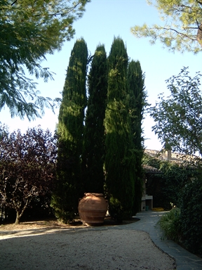 Parco di Villa Garulli