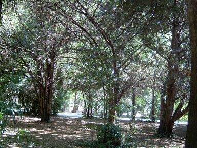 Parco di Villa Beltrovato