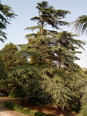 Parco di Villa Passavalli