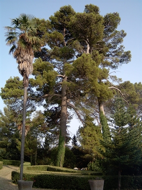 Parco di Villa Passavalli