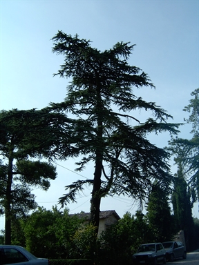 Parco di Villa Passavalli