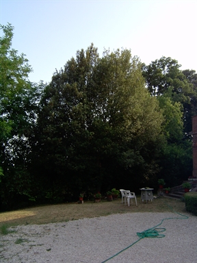 Parco di Villa Passavalli