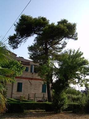 Parco di Villa Passavalli